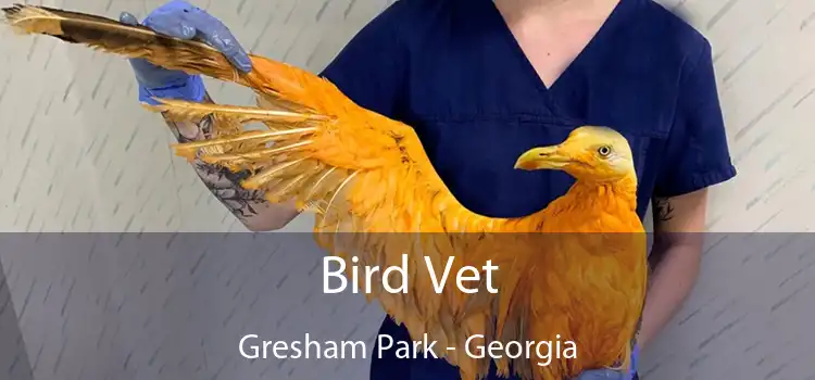 Bird Vet Gresham Park - Georgia