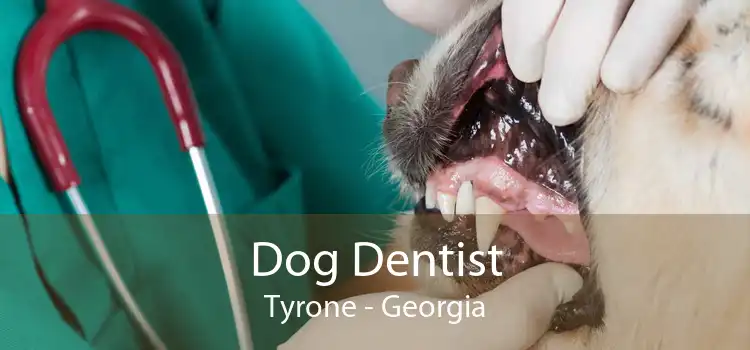 Dog Dentist Tyrone - Georgia