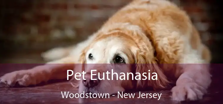 Pet Euthanasia Woodstown - New Jersey